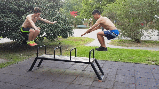 vyskoky rigrovy sady.img